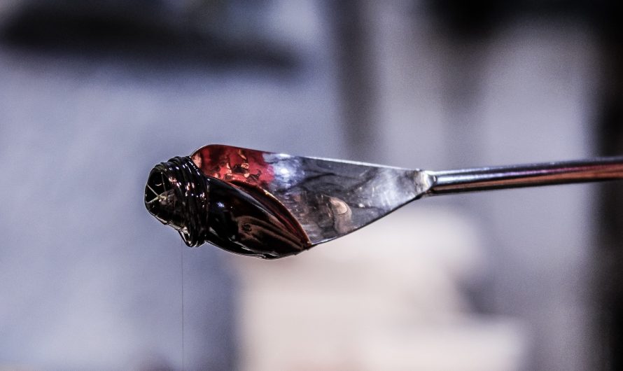 UNO DE LOS EXPERIMENTOS MÁS LARGOS DE LA HISTORIA