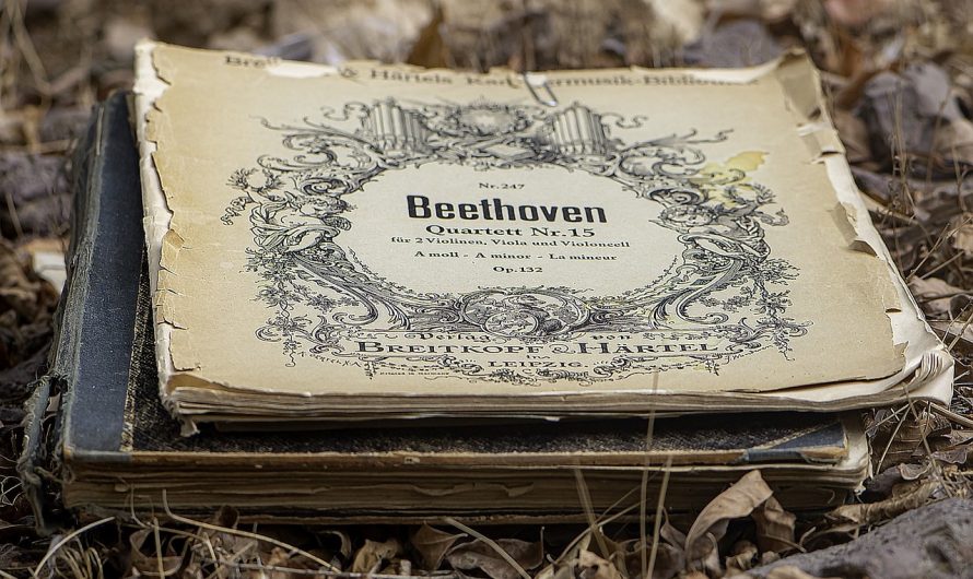 UN ESTUDIO ARROJA LUZ SOBRE LAS CAUSAS DE LA MUERTE DE BEETHOVEN